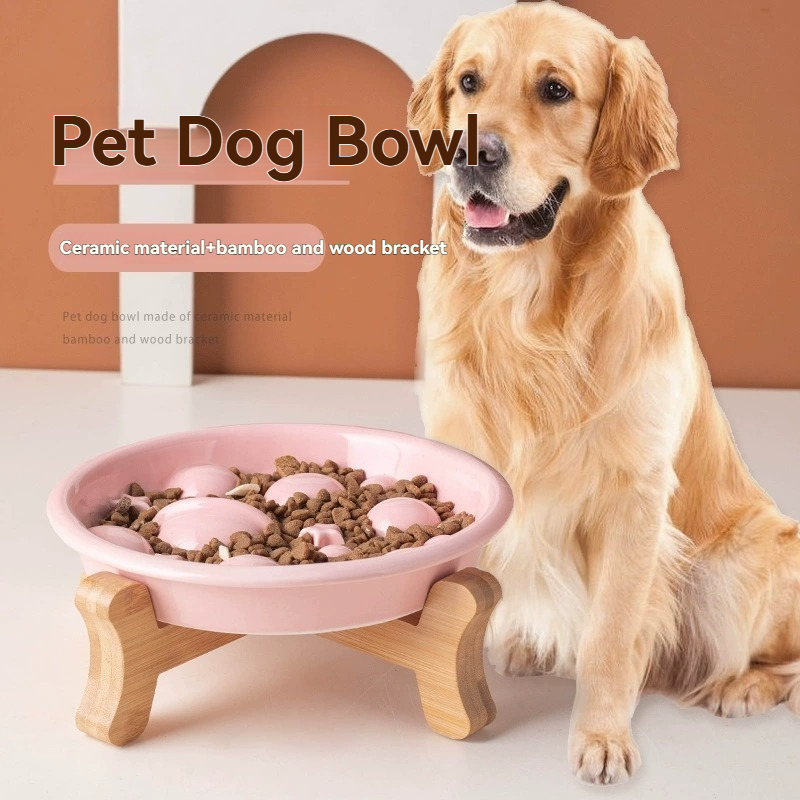 Royal Canin Food Medium - وعاء طعام للكلاب من السيراميك بتصميم