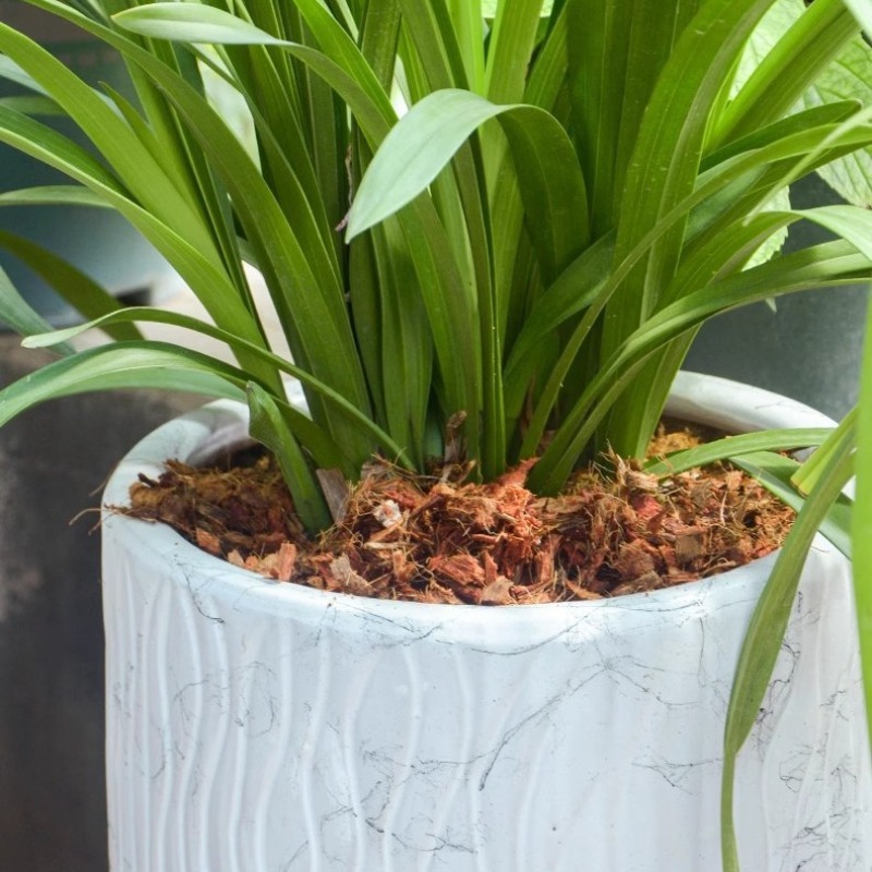 طوب ألياف جوز الهند مع سماد عض - مراجعة Substrate Coconut Fiber وسعره