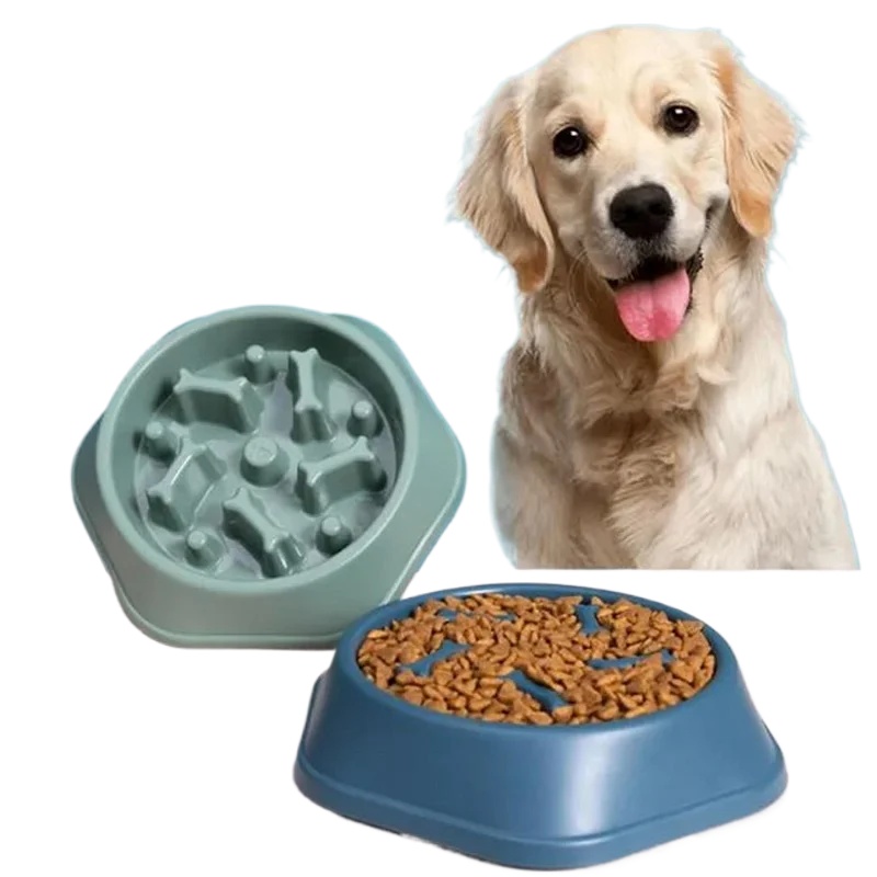 وعاء تغذية بطيء للكلاب، غير قا - مراجعة Royal Canin Food Medium وسعره