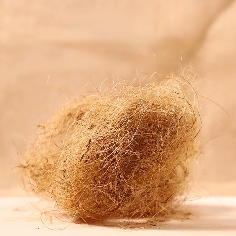 100 جرام من ألياف جوز الهند ال - مراجعة Substrate Coconut Fiber وسعره