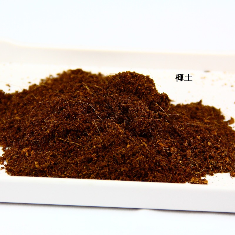 طين جوز الهند، طبقة تربة للزوا - مراجعة Substrate Coconut Fiber وسعره